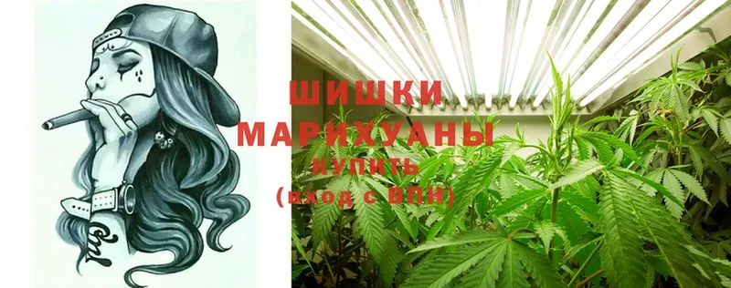 где купить   Туапсе  Марихуана конопля 